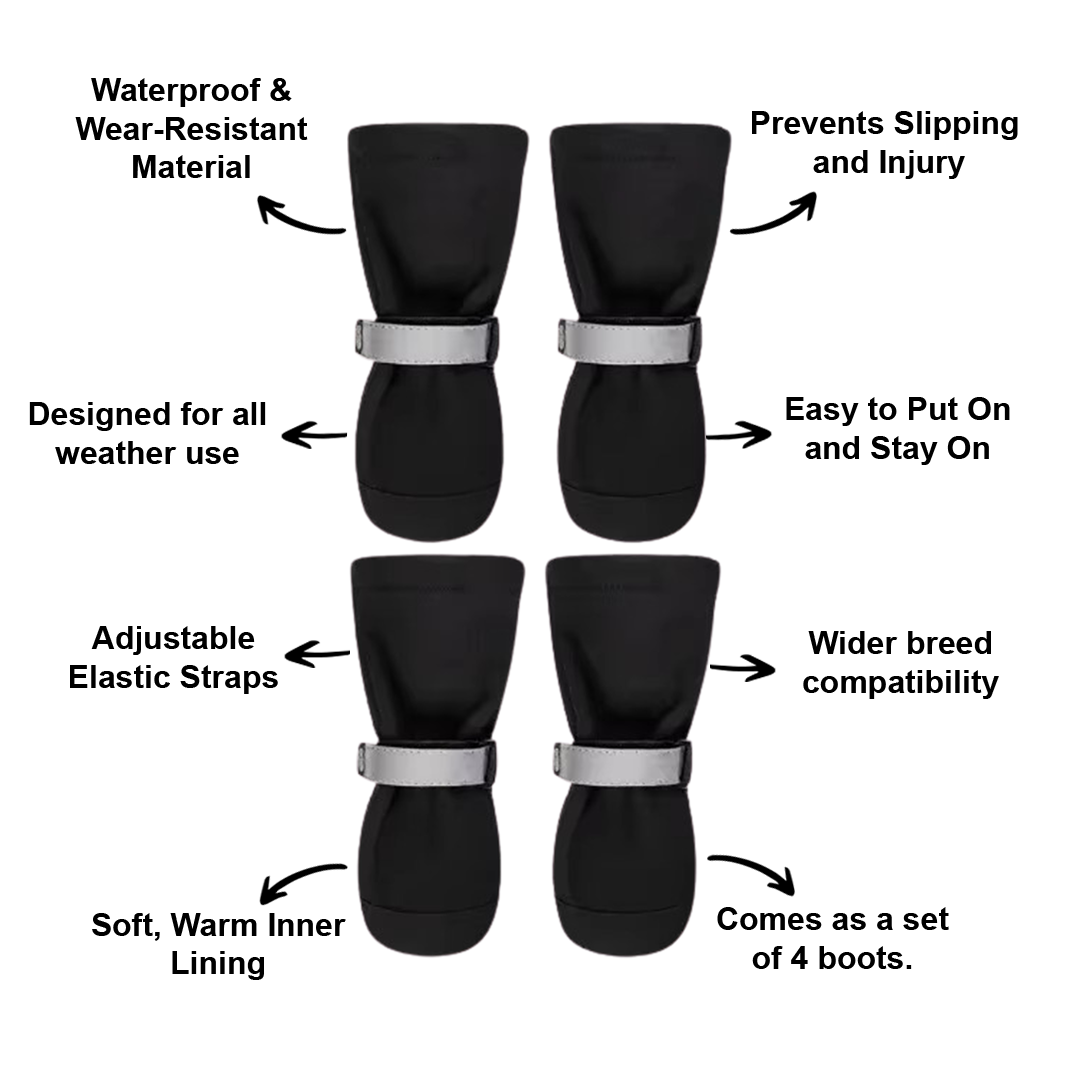 3 Ways SummitPaw Winter Dog Boots Transform Your Pet's Walks
