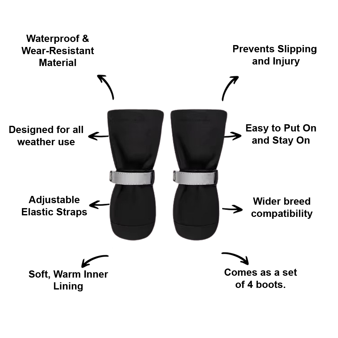3 Ways SummitPaw Winter Dog Boots Transform Your Pet's Walks